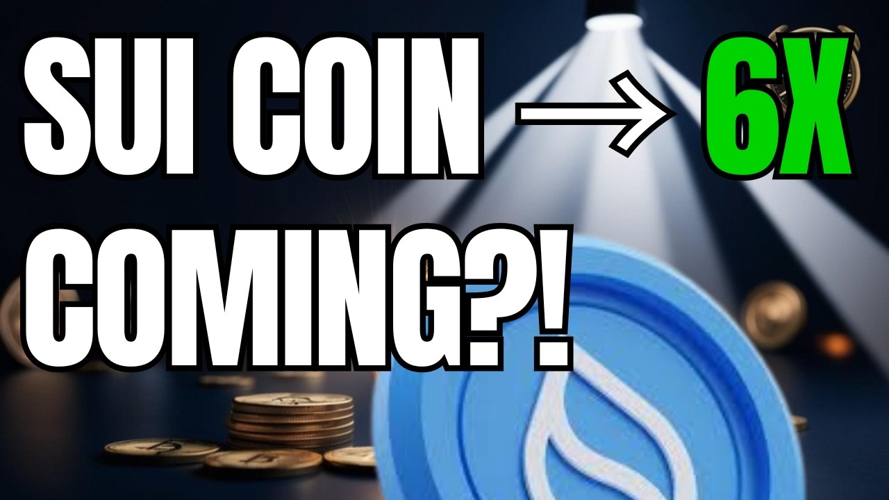 Is Sui Coin the Next Big Thing in Cryptocurrency?