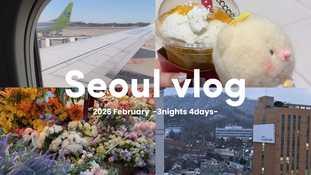 【vlog】 冬のソウル3泊4日🇰🇷 ￤ 食べてばかりの爆食旅 ￤ 明洞・江南エリア ￤ 서울 브이로그