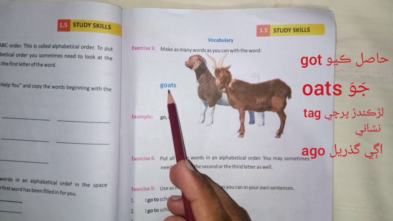 Unit 1.5 (Vocabulary) English class 5.