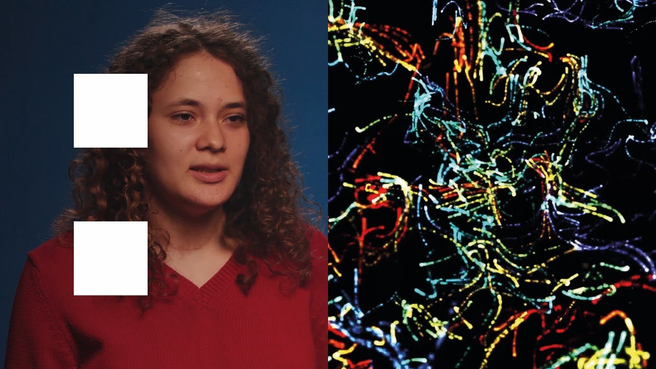 Ana Grajdeanu | BA (Hons) Immersive Media and Mixed Reality