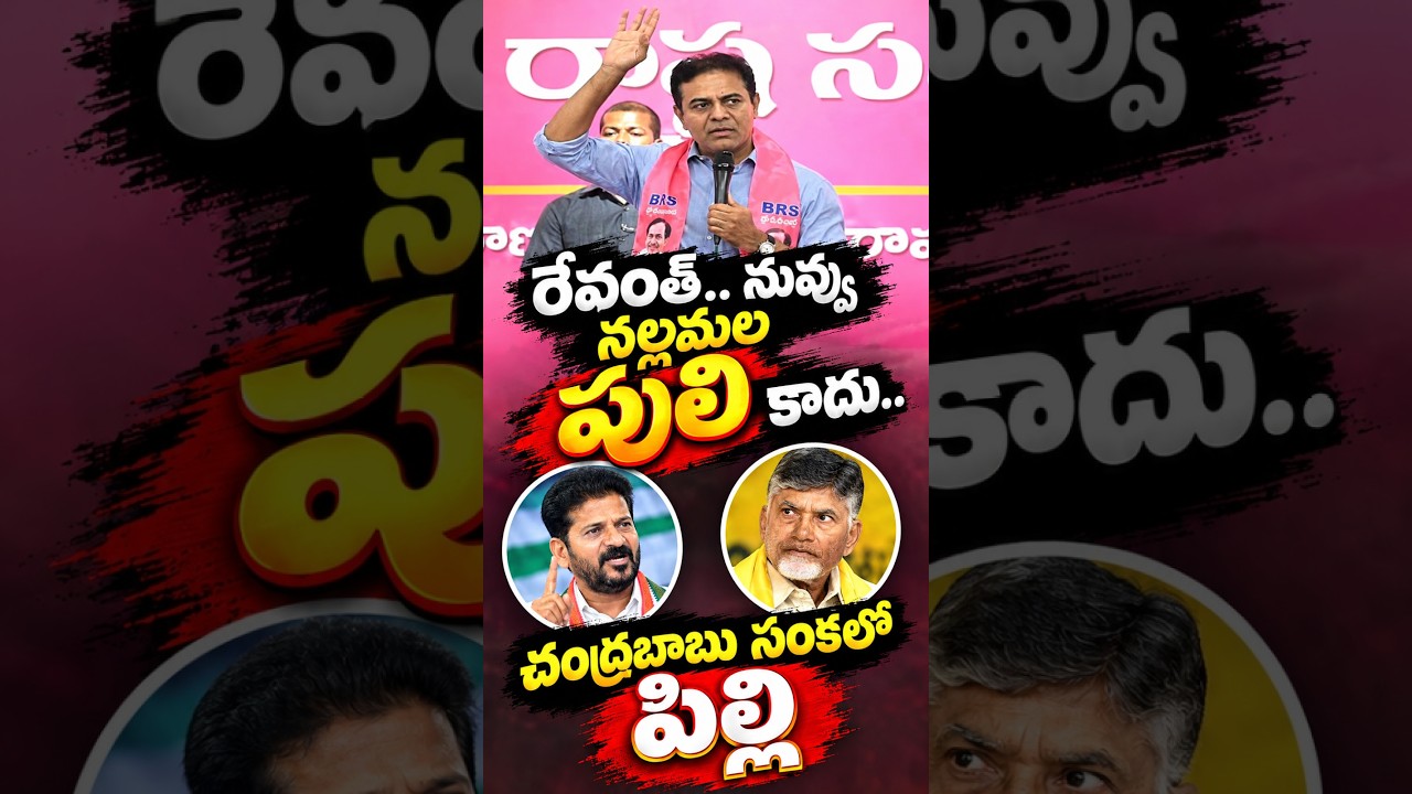 రేవంత్ నువ్వు చంద్రబాబు సంకలో పిల్లి.. KTR Satirical Comments on CM Revanth Reddy Comments | YOYO TV