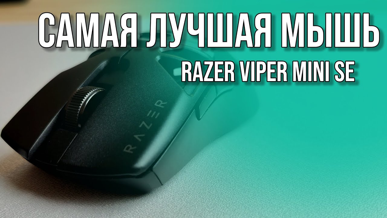Лучшая в мире мышь. Обзор Razer Viper Mini Signature Edition.