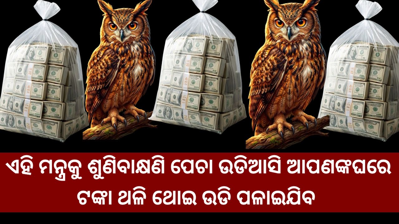 ପେଚା ଆସିବ  ପଇସା ରଖିକରି ଚାଲିଯିବ। ଗୋଟେ ଥର ଶୁଣନ୍ତୁ #ullumoneyattractionmantra#odia 