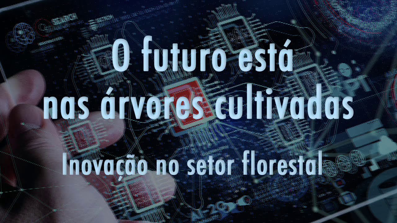 O futuro est&aacute; nas &aacute;rvores cultivadas - Inova&ccedil;&atilde;o no Setor Florestal