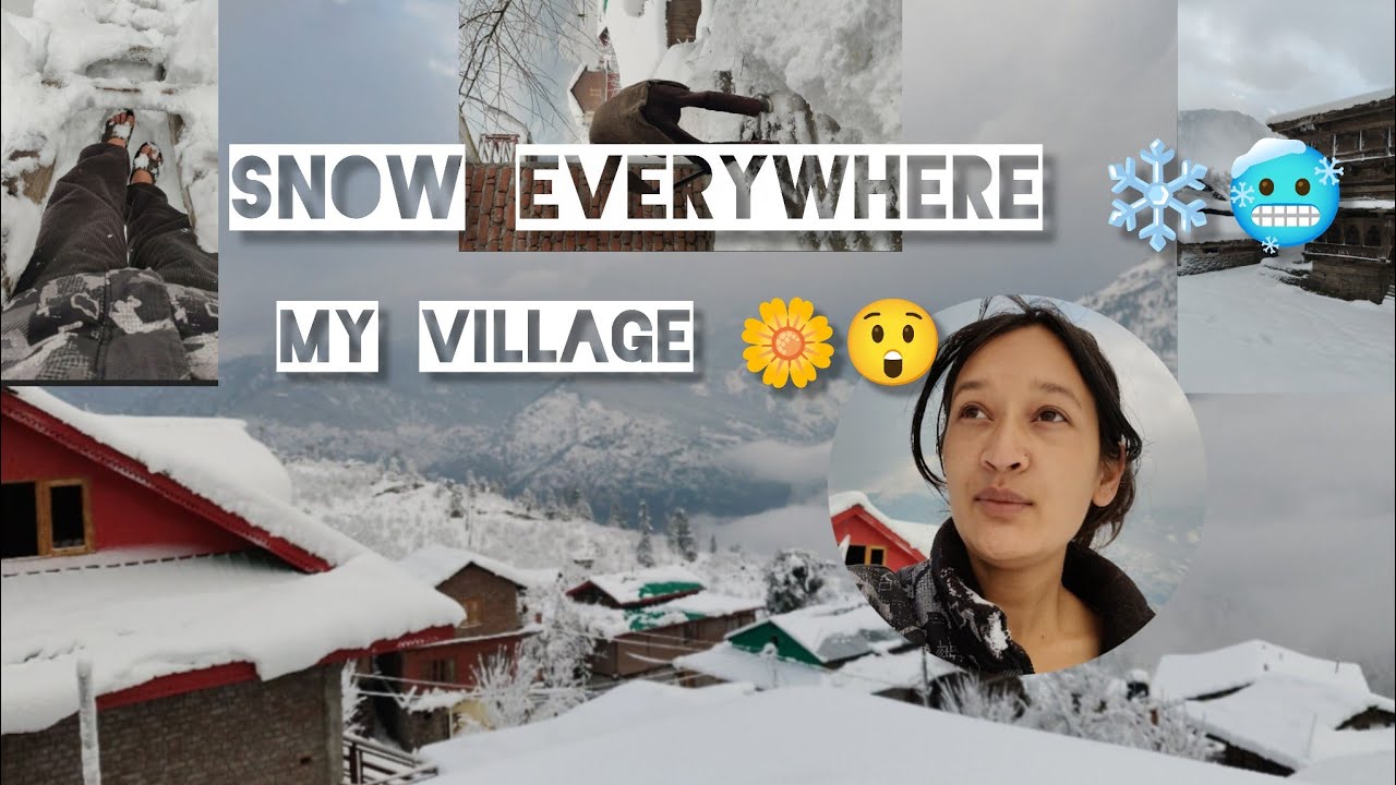 Snow everywhere ❄️ 2026 jan 24 my village 🌼🥶