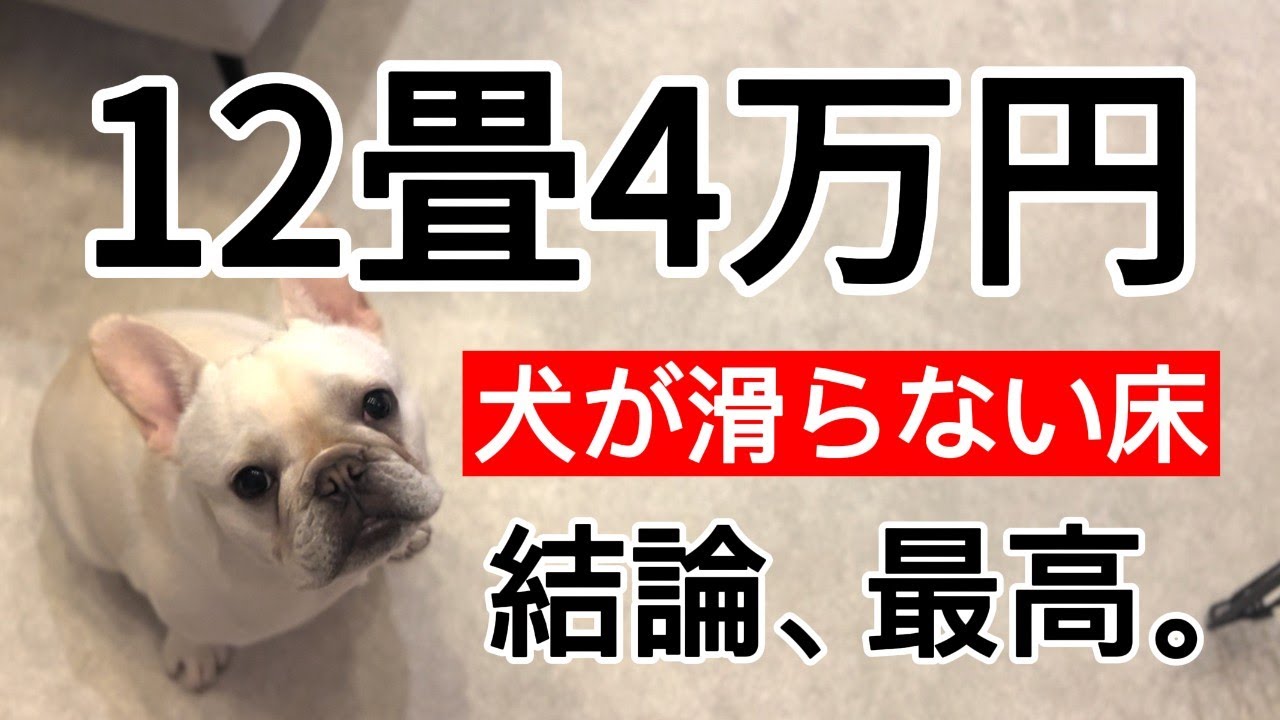 【12畳4万円以下】で犬の足が滑らない床材に変えてみた【フレブルのてん】