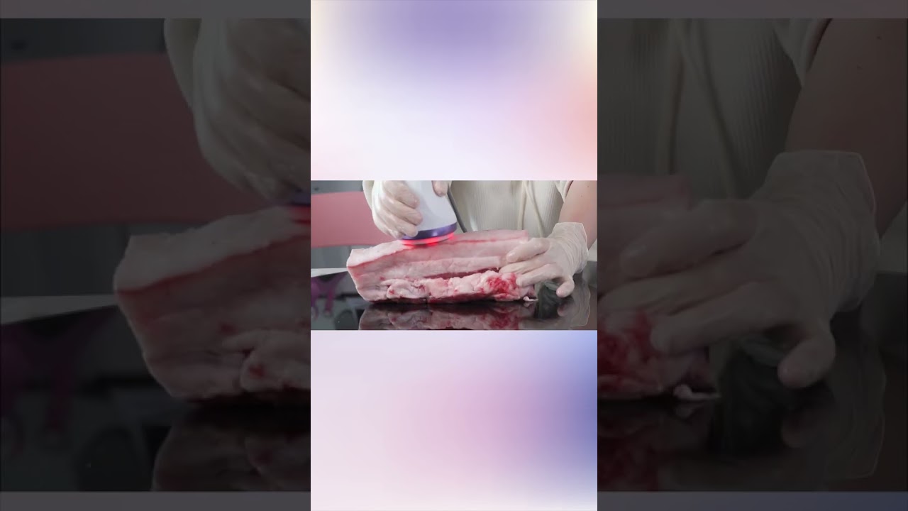 Cavitation Machine Test With Pork Belly| Body Contouring #bodyshaping
