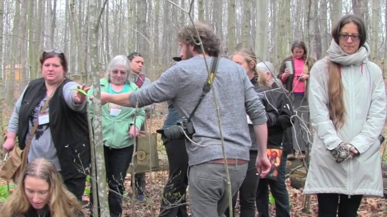 Foraging and Harvesting from the Forest