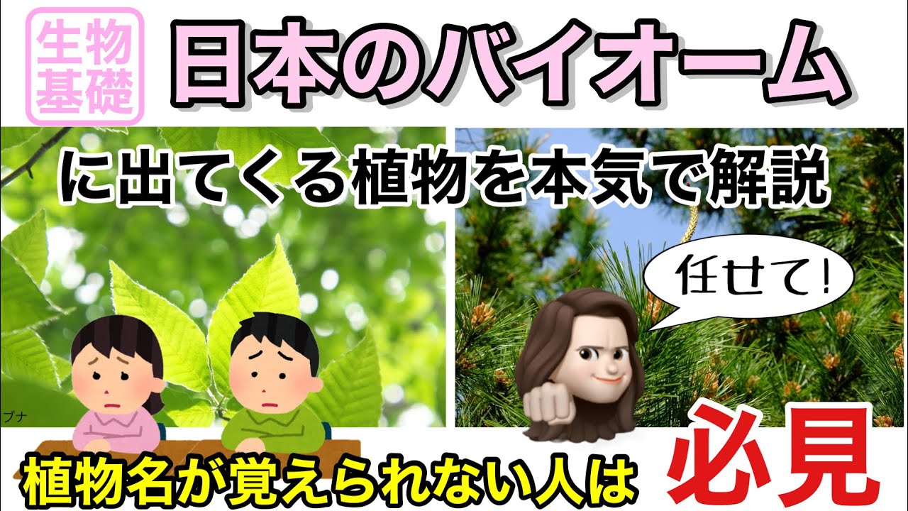 【生物基礎】日本のバイオームによく出てくる植物を楽しく解説します！