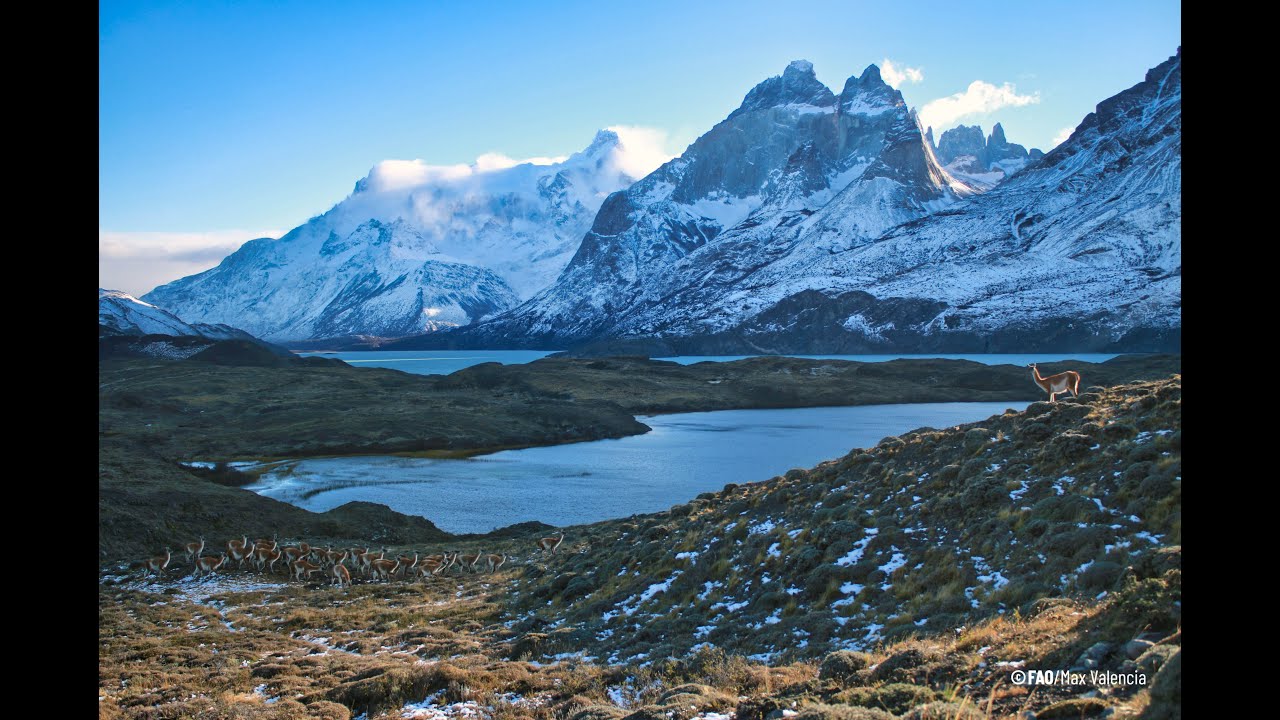 Launch of the State of the Climate in Latin America and the Caribbean 2021 - English