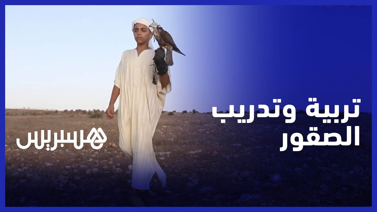 تربية وتدريب الصقور.. موروث ثقافي حاضر في موسم مولاي عبد الله أمغار