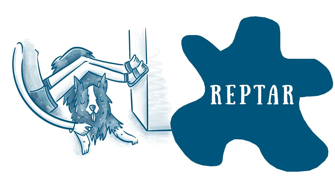 26. Cómo enseñar al perro a REPTAR