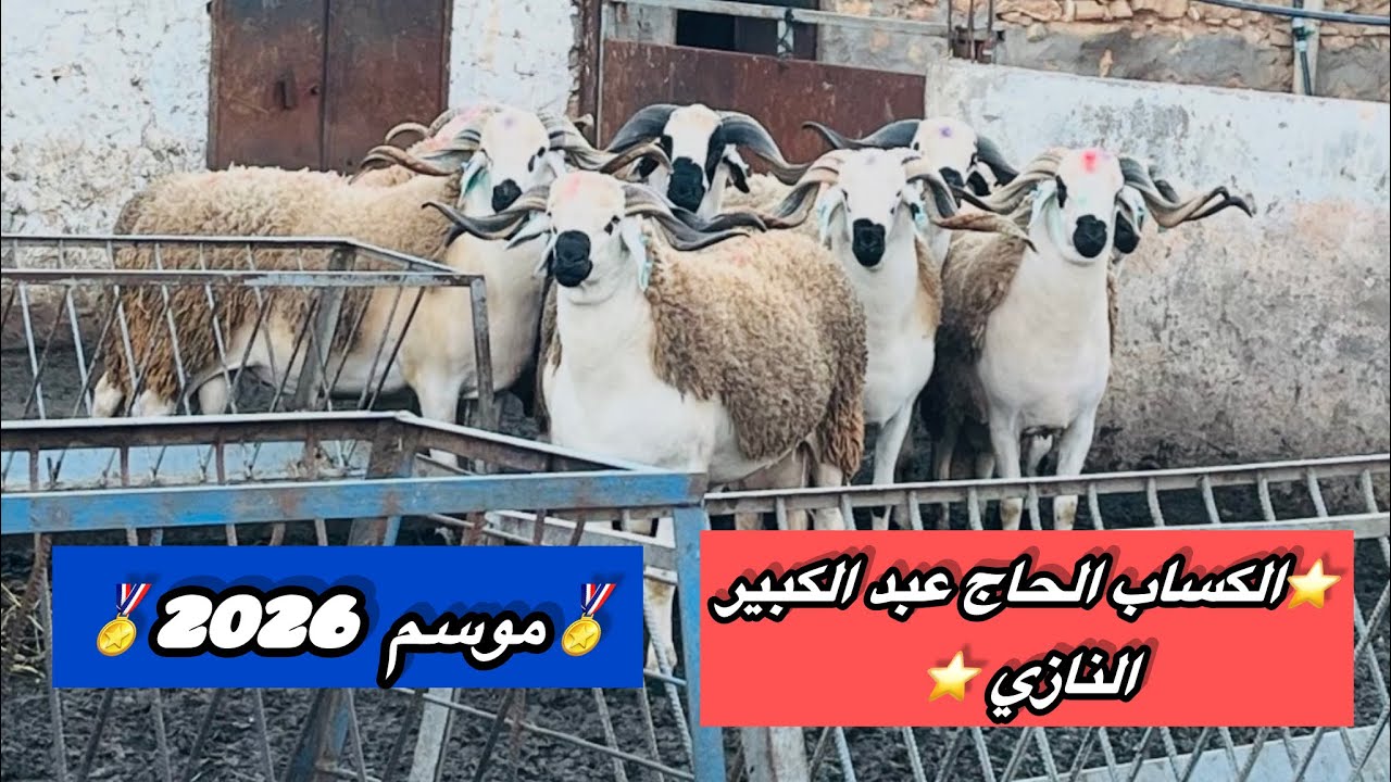 🎥سلسلة من الحولي لي وجد الحاج عبد الكبير النازي لموسم 2026🫡🫡 قالك من جد وجد ومن زرع حصد💯👏
