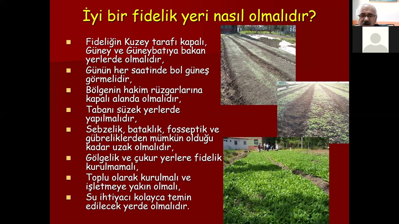 Tütün fidesi yetiriciliği