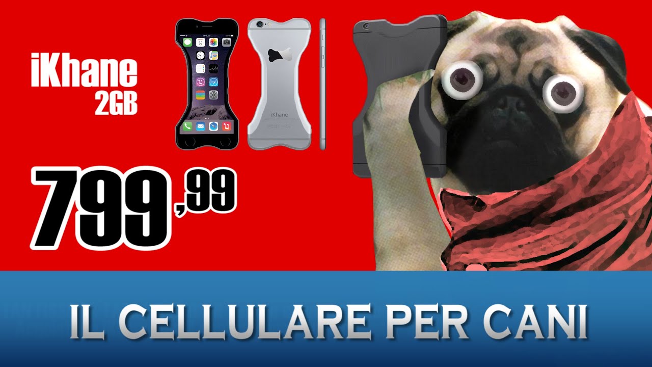 Il cellulare per cani - Tg Test