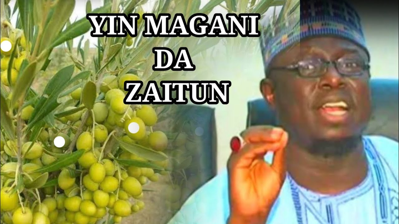 Yin Magani da Zaitun