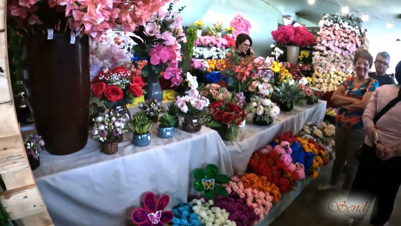 ROSAS E FLORES BARBACENA 2025.
