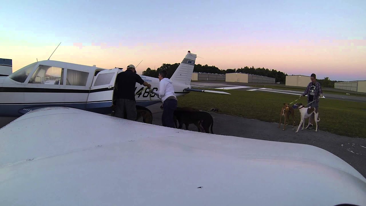 Greyhound transport flight May 3, 2015