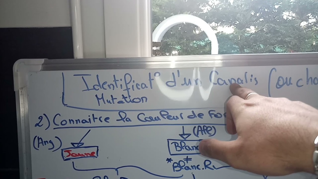 Comment identifier une mutation: partie 2) la couleur du fond