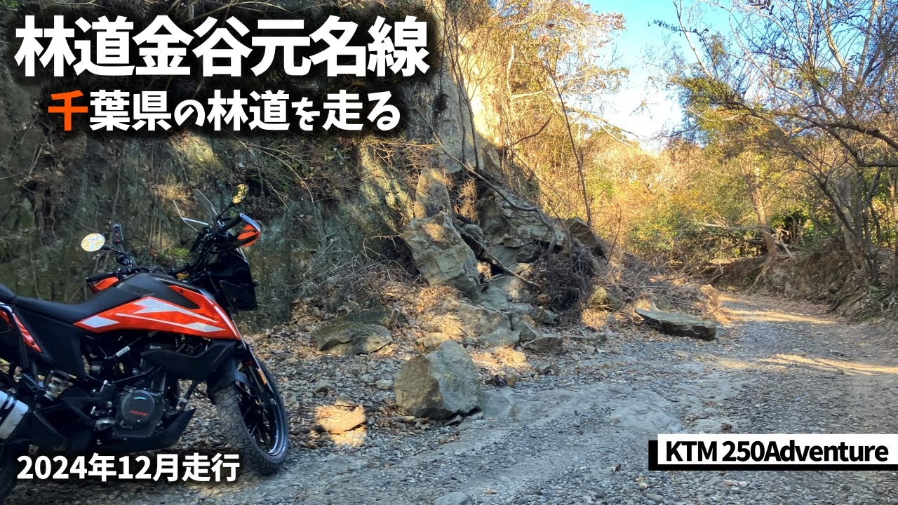 【千葉のフラット林道】林道金谷元名線を走る 2024年12月29日走行  - KTM 250 Adventure