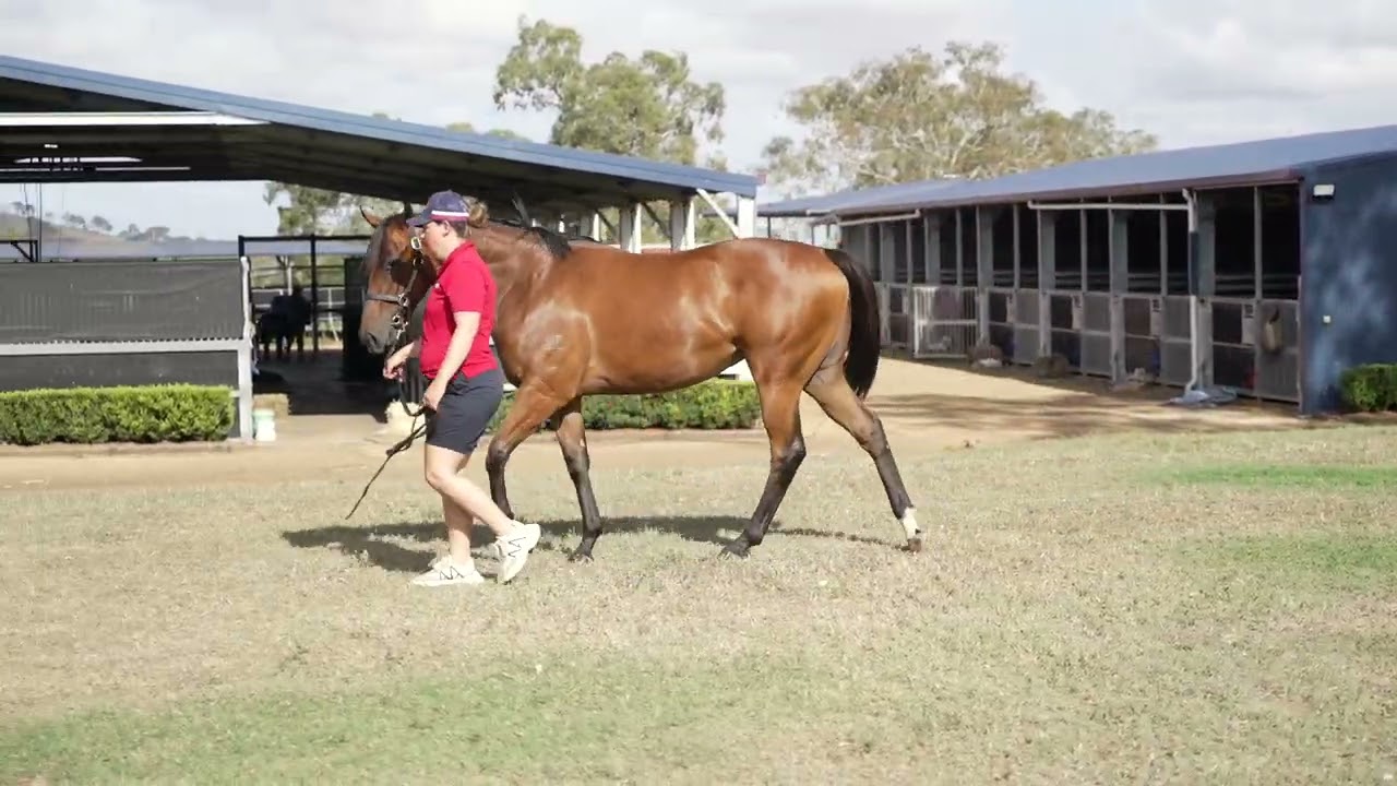 Lot 144