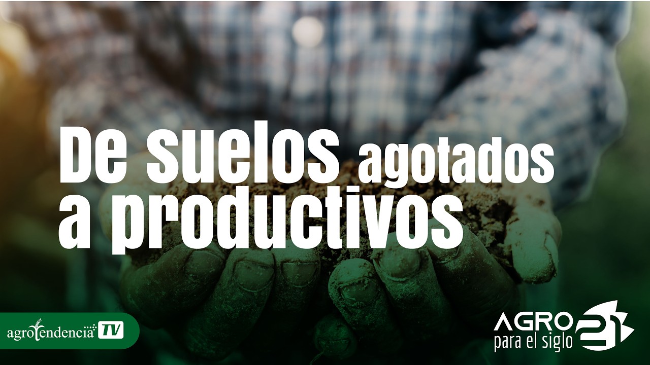 La Clave para Regenerar Suelos sin Perder Productividad