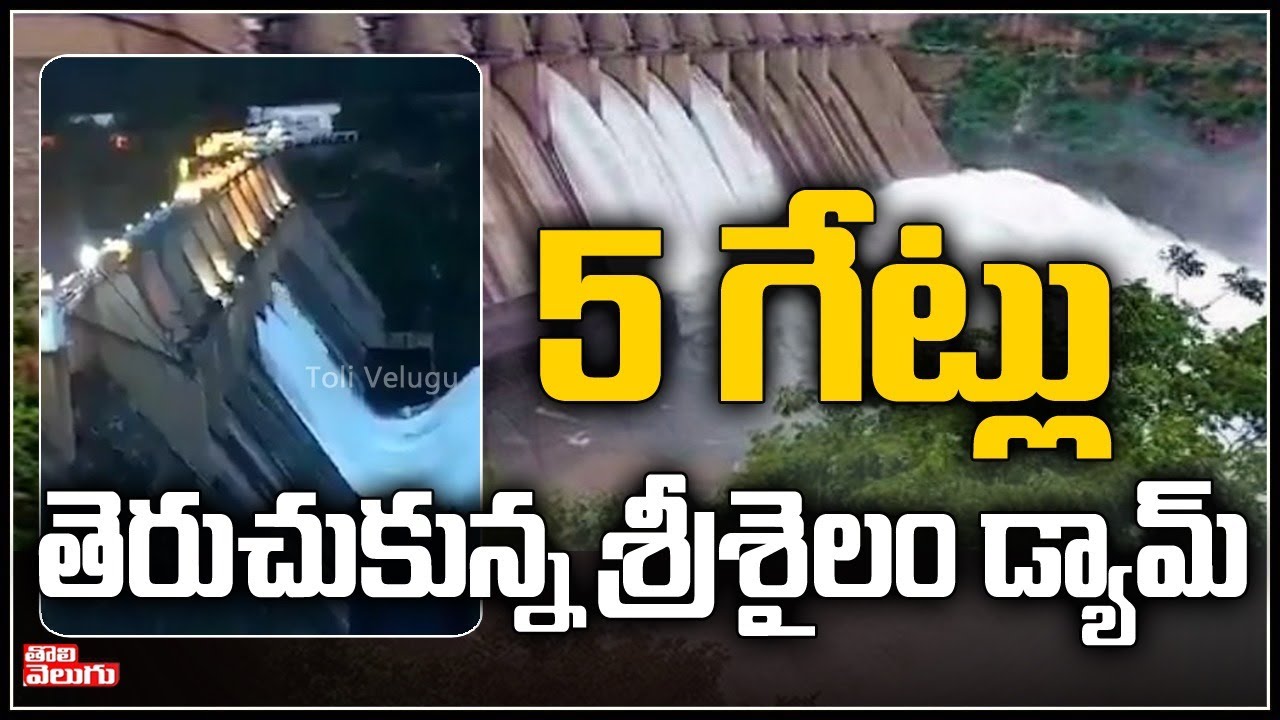Srisailam Dam 5 Gates Open Due To Heavy Inflow | Heavy Inflow To Srisailam Dam | Tolivelugu TV