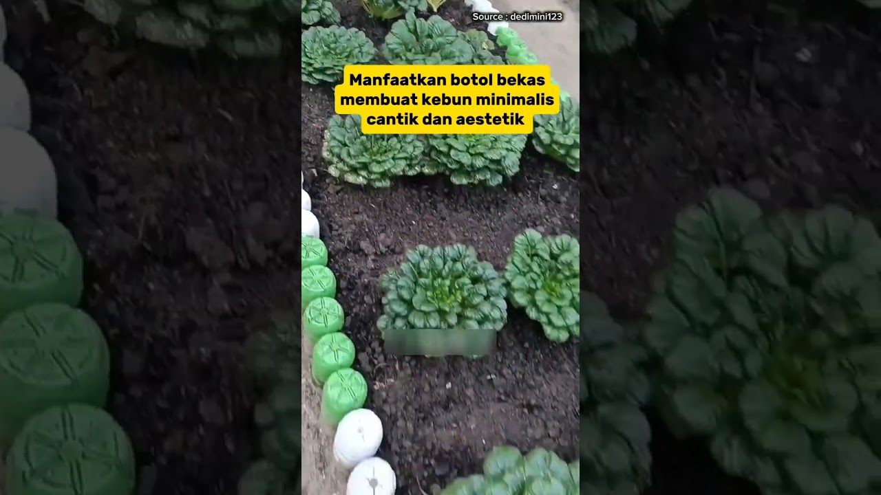 Membuat kebun minimalis cantik dan aestetik dari botol bekas #construction #tipspintar #pertukangan