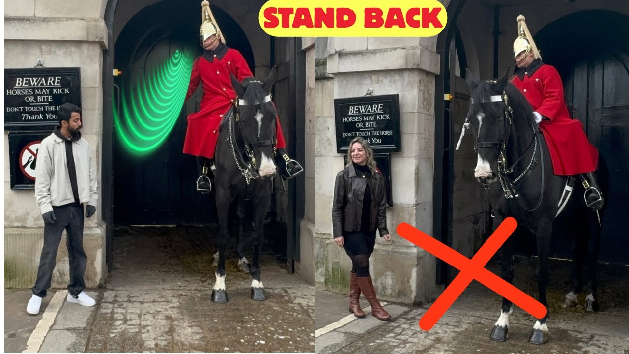 OUTRAGEOUS! Disrespectful Tourists Force King’s Guard to Shout
