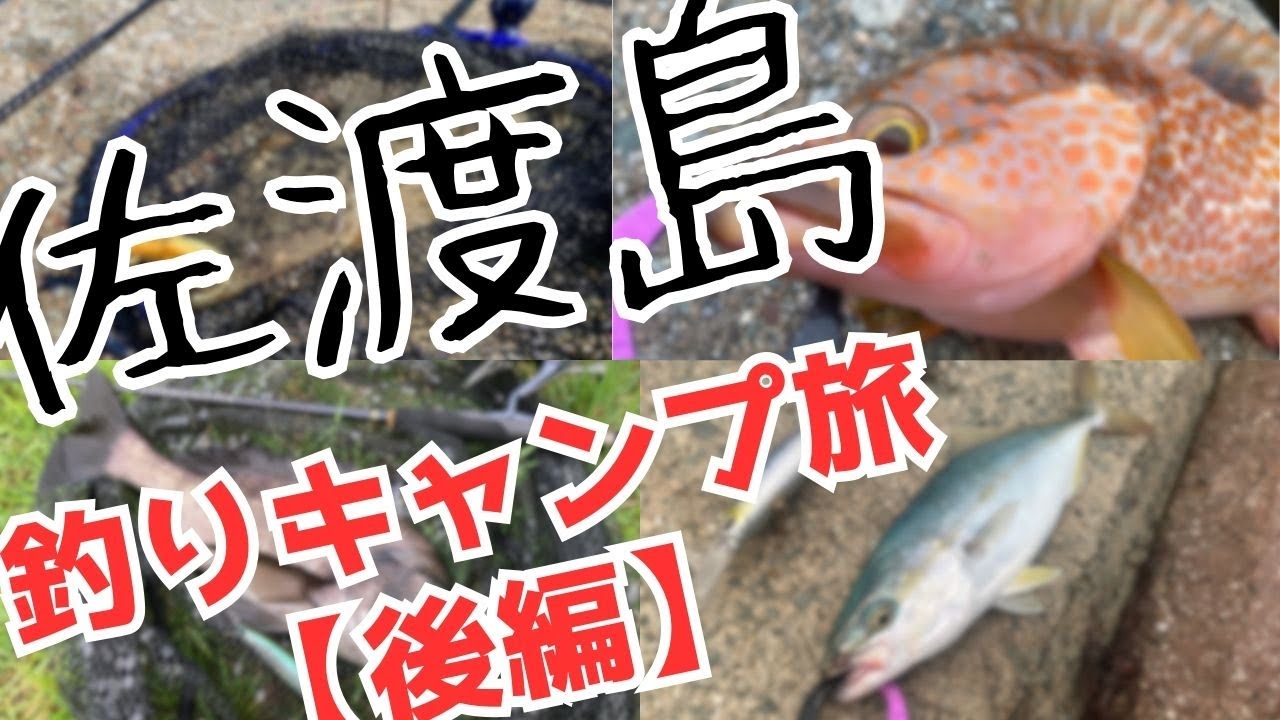 佐渡の真の魅力は...加茂湖？！汽水湖の釣りがこんなに面白いなんて知らなかった。