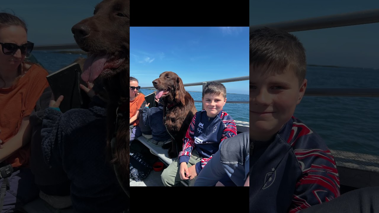Seahouses, Farne Islands and Puffins. June 24