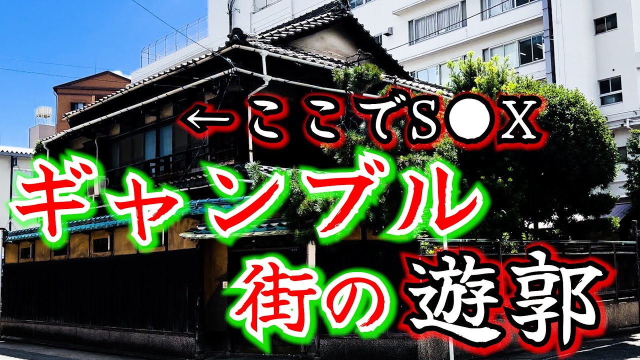 【遊郭】花街から赤線に変貌した街・八幡園