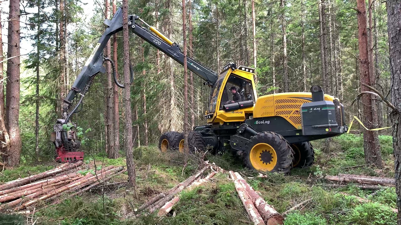 Eco Log visits Tifa Skog