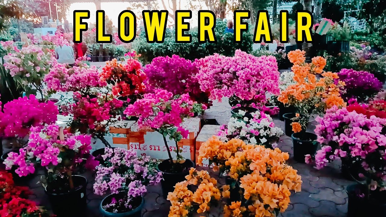 FLOWER FAIR - CITY PARK MAWI REM REM TAK A NI
