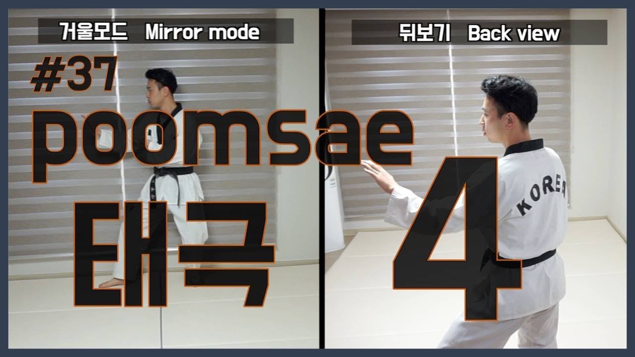 #37 품새 태극4장 (거울모드&뒤보기)