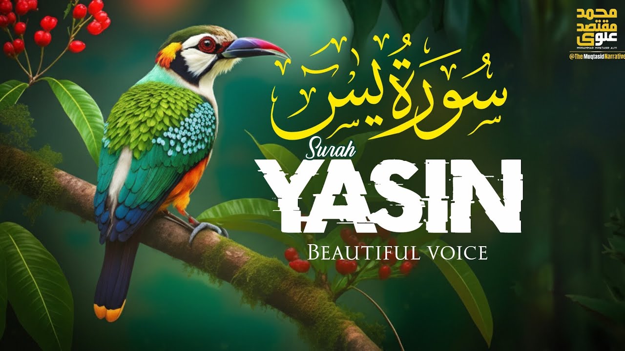 Surah Yasin (سورة يس) | Beautiful Voice Quran Recitation That Brings Peace