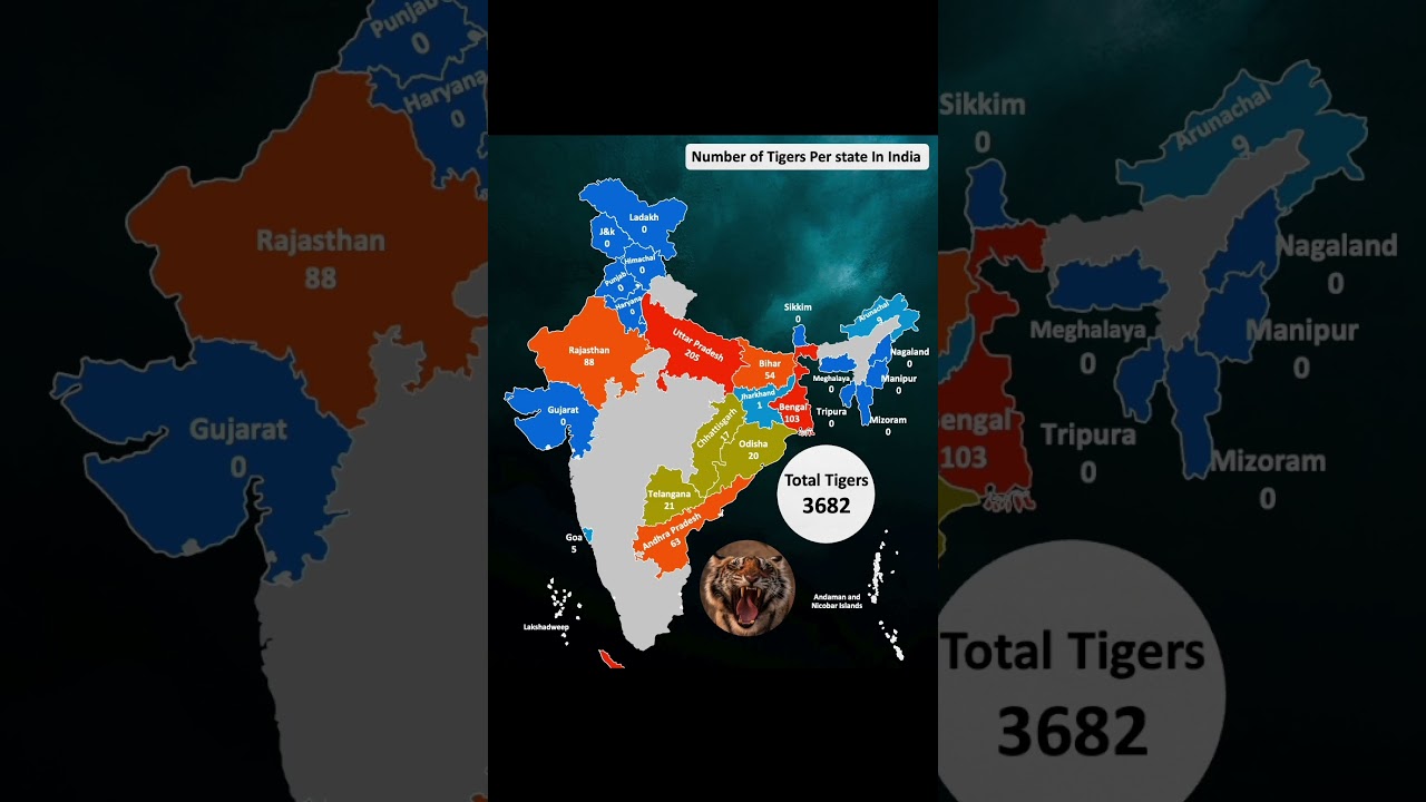 Tiger population in each Indian state #india #indianstate
