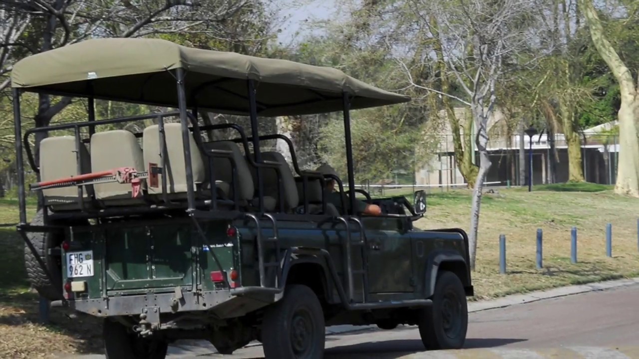 Africa - Warmbaths Forever Resort, Bela Bela, Limpopo Province, South Africa