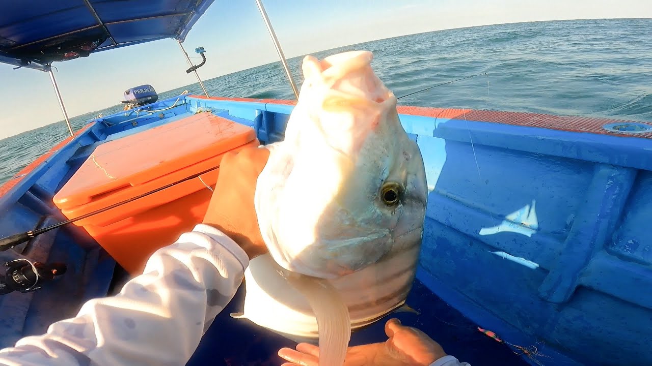 Ternyata,,, Spot Dalam 10 Meter Depan Kampung Sarangnya Ikan Besar2,, Full Strike !!