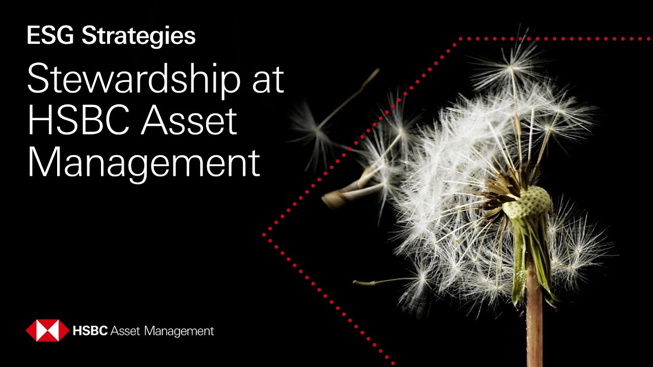 Stewardship at HSBC Asset Management