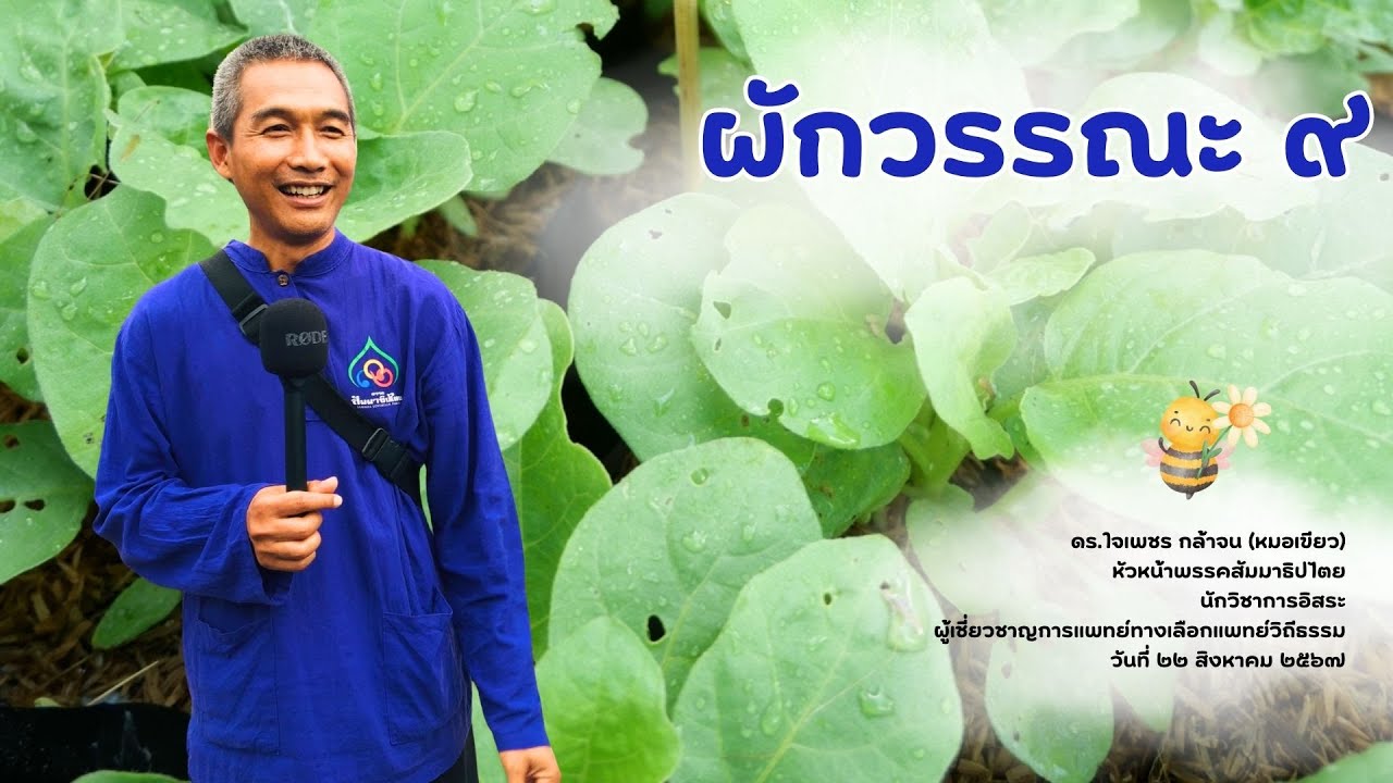 ผักวรรณะ 9 ดร.ใจเพชร กล้าจน (อาจารย์หมอเขียว)