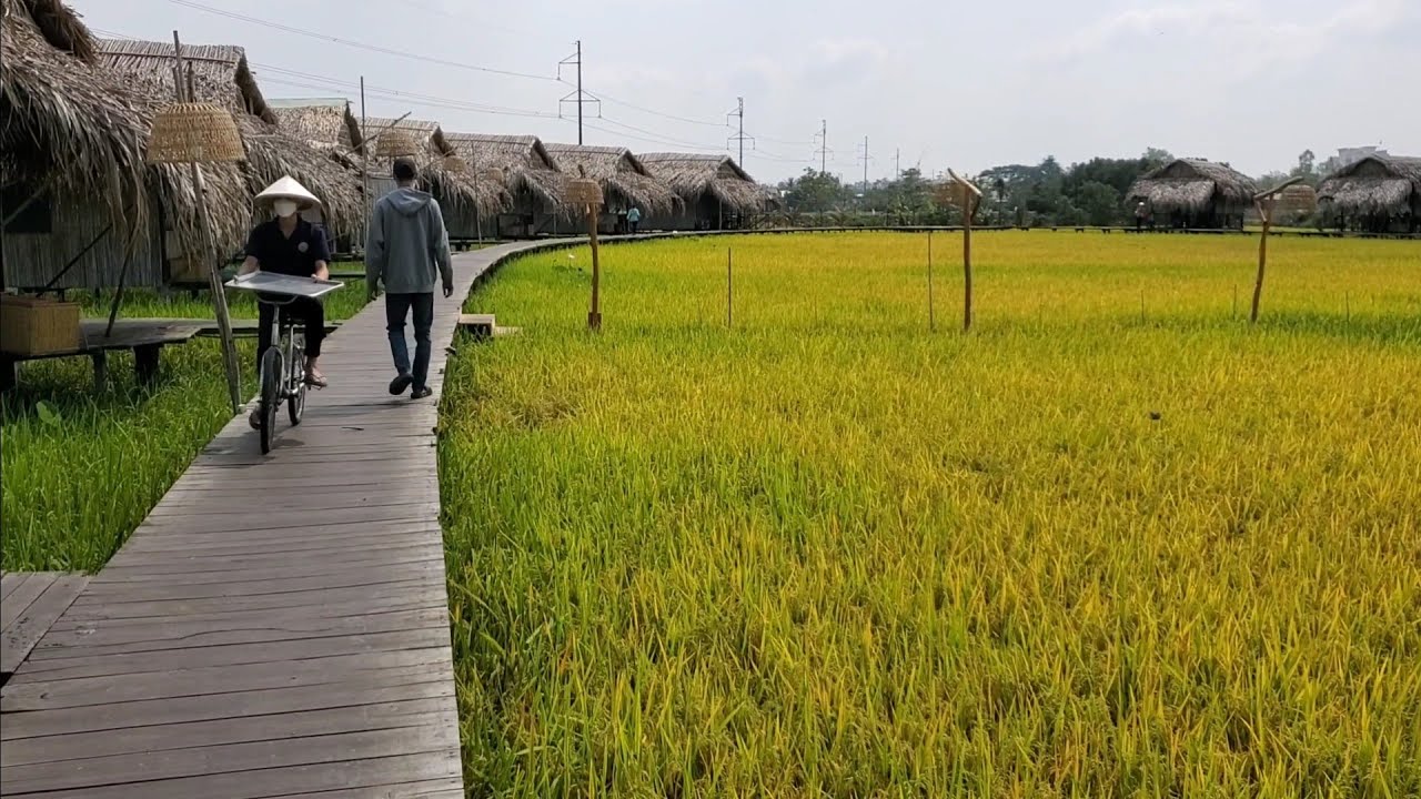 Du Lịch Đồng Tháp Cảnh Quê Tuyệt Đẹp | út đạt | # 805