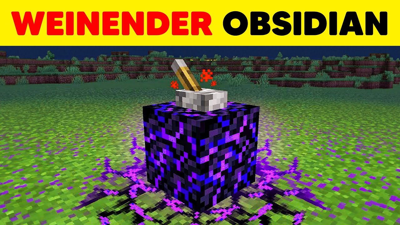 Wir lösen die 24 GRÖßTEN MYSTERIEN in MINECRAFT!