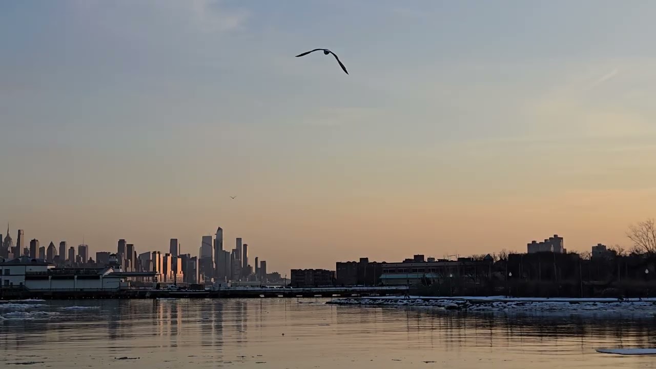 Edgewater, New Jersey | 17:00 | Urban View 048 | Manhattan Skyline over the Hudson River