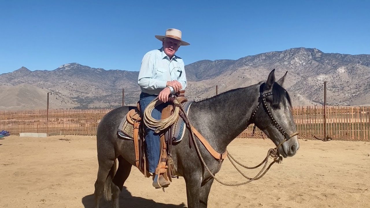 Managing Your Reins in the Bosal and...it's Veteran's Day 2021