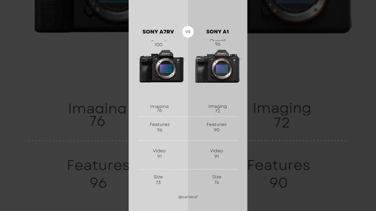 Sony A7RV vs Sony A1  Camera Comparison! #sony #comparison #fullframe #photography #video #a7rv #a1