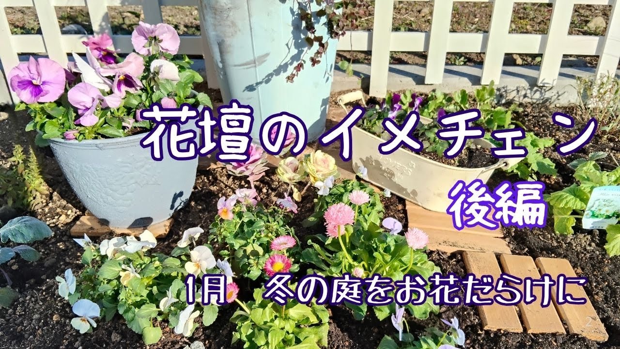 【花壇イメチェン】後編　癒される冬の花壇作り