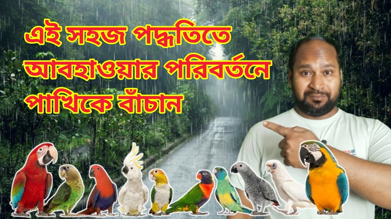 আবহাওয়া যত খারাপ হোক পাখি ঠিক থাকবে।Bird Care In Weather Change 