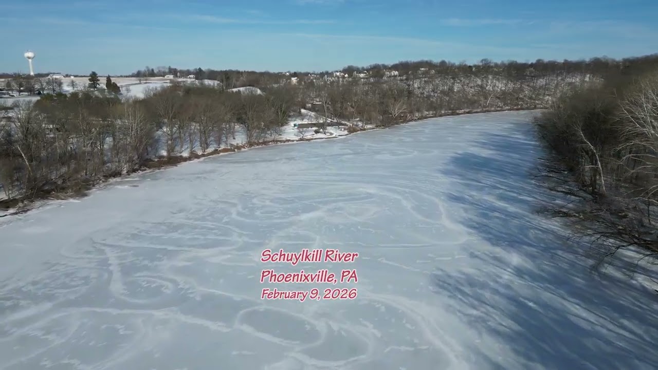 Frozen Wonderland