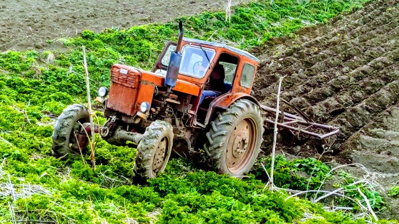 Трактор Т 40 с культуватором в поле.Культивируем огород | Tractor T40 with a cultivator in the field